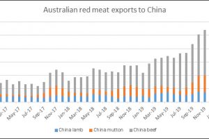 Red Meat Exports Remain Strong