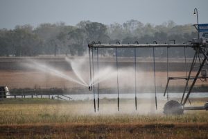 Ag Production Hits Record $75b