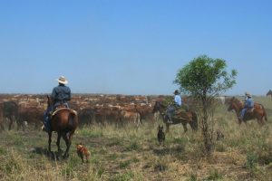 Simple Ways To Beat Rural Crime