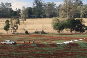 Glider Startles Farmers