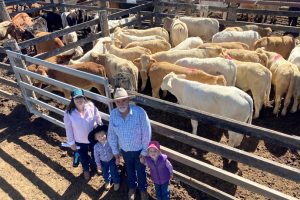 Export Prices Stay Firm