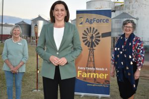 LNP Will Win, Deb Promises