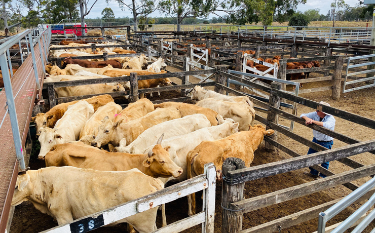 Major Change To Biosecurity Levy