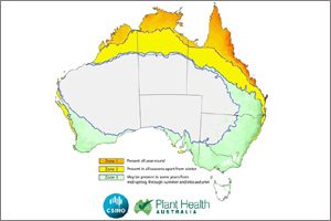 Fall Armyworm Can’t Be Eradicated