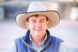 Users Press For Saleyards Upgrade