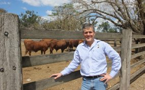 Ex-AgForce CEO Joins NFF