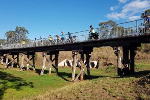 Rail Trail Decision Deferred