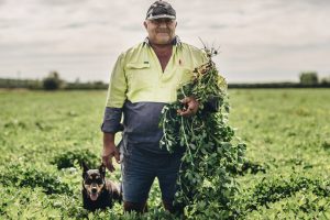 Best Peanut Intake ‘In Five Years’