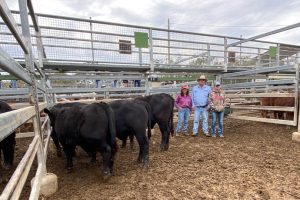 High Demand For Weaners