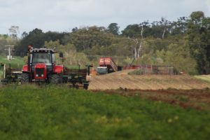 Dam Uncertainty For Peanuts