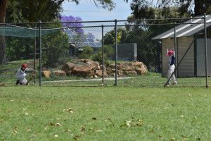 New Cricket Nets For River Road