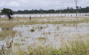 Help Offered To Farmers
