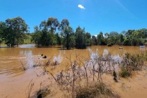 Man Drowns On Highway