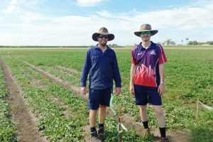 ‘Dual Peanuts’ Push Into NQ, NT