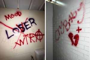 Vandals Strike Toilet Block