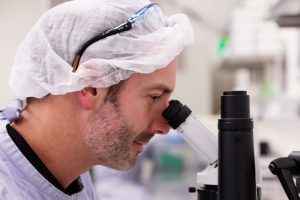 CSIRO To Work On Pig Vaccine
