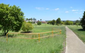 Next Step For Disability Project