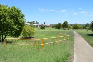 Next Step For Disability Project