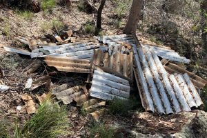 Asbestos Dumped In Forestry