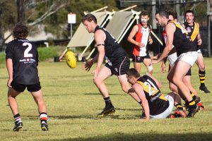 Tigers Too Strong In Kingaroy