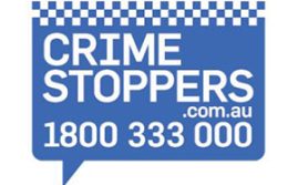 Would-Be ‘Cat’ Burglar Fails