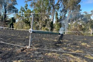 Burn-Offs Damage Power Poles