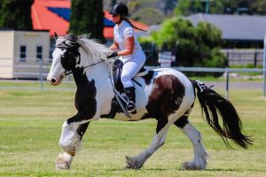 Taromeo Pair Star At Championships