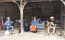 More Shade For Gardens