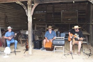 More Shade For Gardens