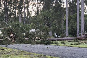 Storms Rip Through Area … Again