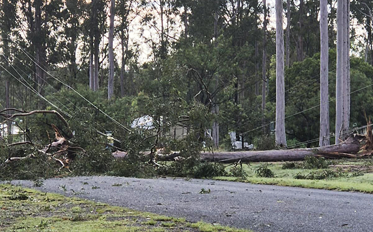 Storms Rip Through Area … Again