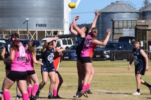 Pink Powers Down Coolaroo