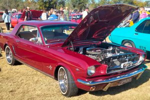 Car Lovers Spoiled For Choice