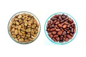 Uni Team Calls For Postharvest Focus