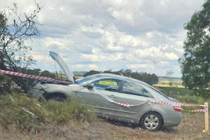 Three Crashes, Three Trees