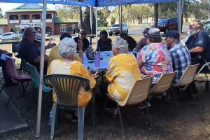 Council Adopts Community Plans