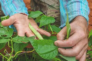 Grant For Veterans Group