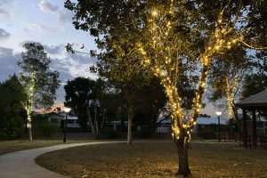 Forest View Lights Up