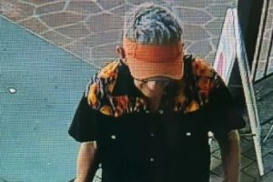 Have You Seen Stephen?