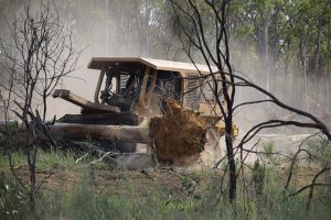 Residents Angered By Clearfelling
