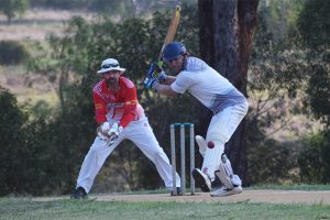 Vikings In Action At Home