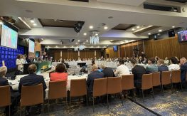 Nationals Dump Net Zero