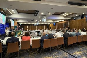 Nationals Dump Net Zero