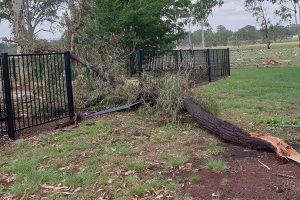 Storms Whip Across Burnett