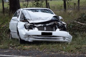 Two Injured As Tree Strikes Car