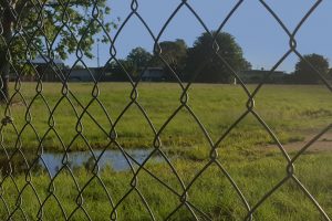 Coles Linked To Pound St Project