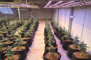 Police Raid Durong Property