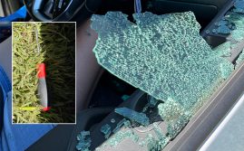 Two Teens Charged After Crime Spree