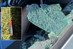 Two Teens Charged After Crime Spree