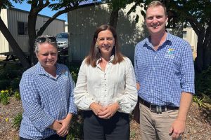 Funding Targets Youth Crime